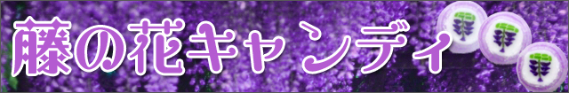 藤 バナー。